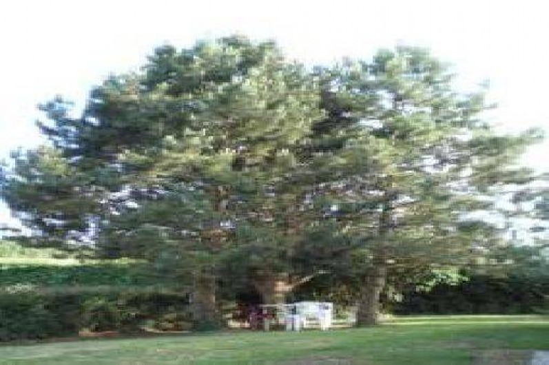 Location de vacances - Maison - Villa à Samer