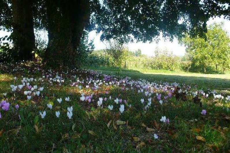 Location de vacances - Maison - Villa à Cussay