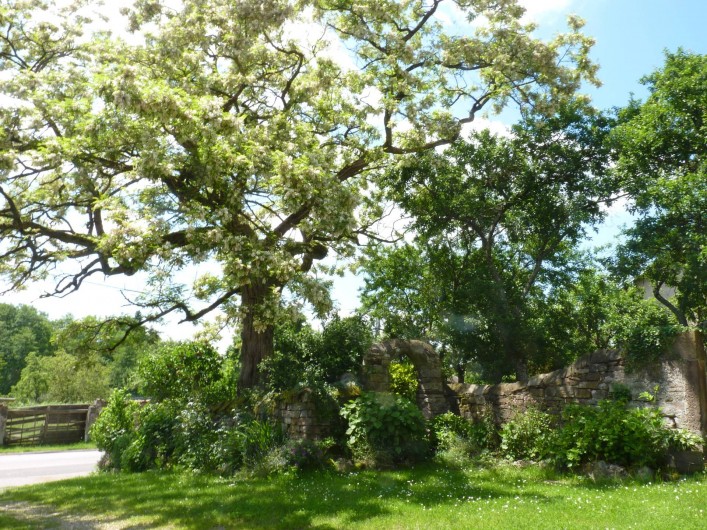 Location de vacances - Chambre d'hôtes à Bertrambois - L'acacia bicentenaire.