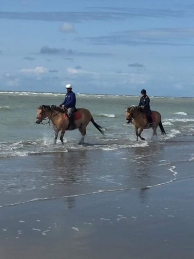 Location de vacances - Appartement à Cayeux-sur-Mer