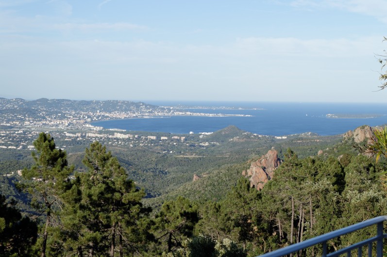 Location de vacances - Villa à Cannes - Parc clos