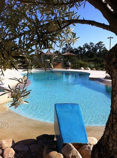Location de vacances - Villa à Lecci - Plage piscine privée arborée