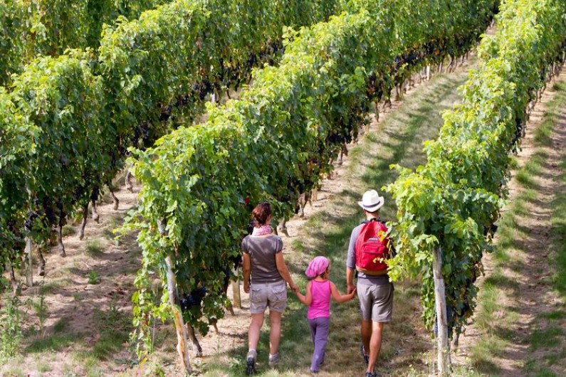Location de vacances - Chalet à Mauroux - Dans les vignobles de AOC Cahors