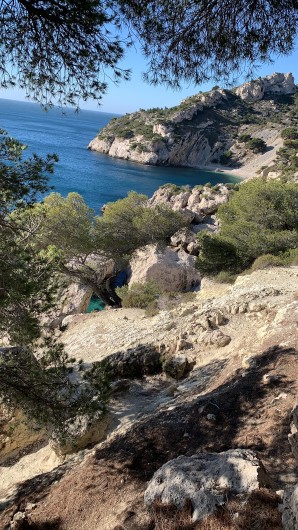 Location de vacances - Studio à Sausset-les-Pins