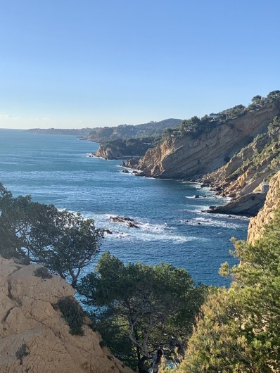 Location de vacances - Studio à Sausset-les-Pins