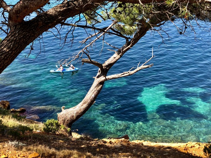 Location de vacances - Studio à Sausset-les-Pins