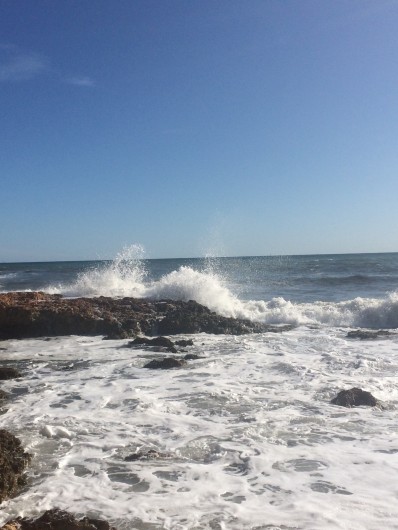 Location de vacances - Studio à Sausset-les-Pins