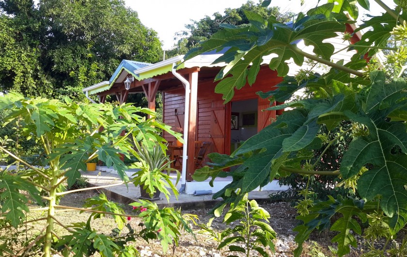 Location de vacances - Bungalow - Mobilhome à Saint-François
