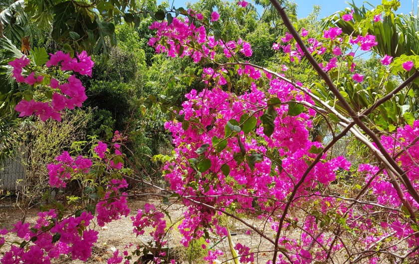 Location de vacances - Bungalow - Mobilhome à Saint-François