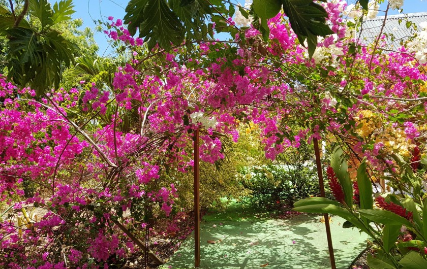 Location de vacances - Bungalow - Mobilhome à Saint-François