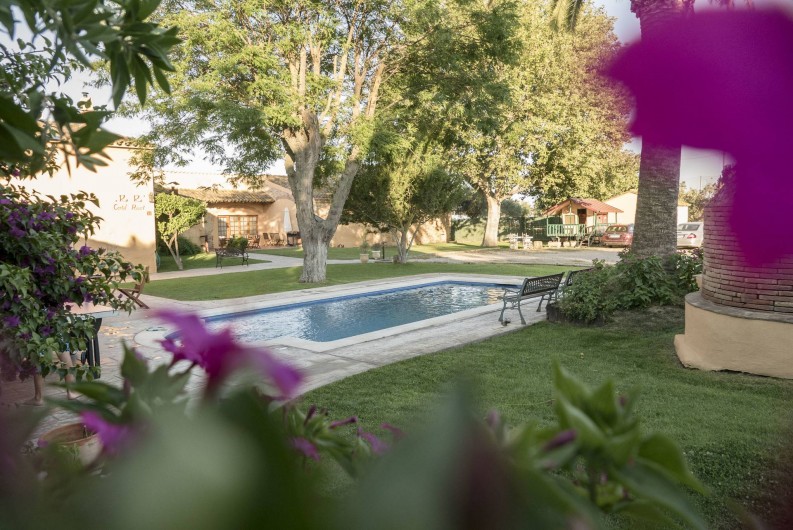 Location de vacances - Appartement à Castelló d'Empúries - La piscine et le jardin