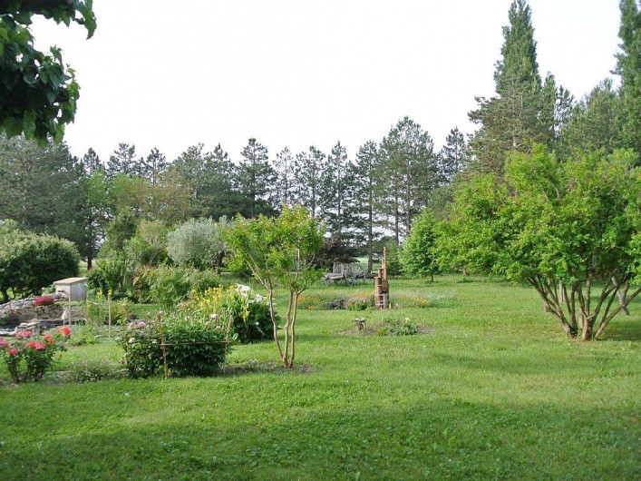 Location de vacances - Appartement à Caderousse - Une partie du jardin