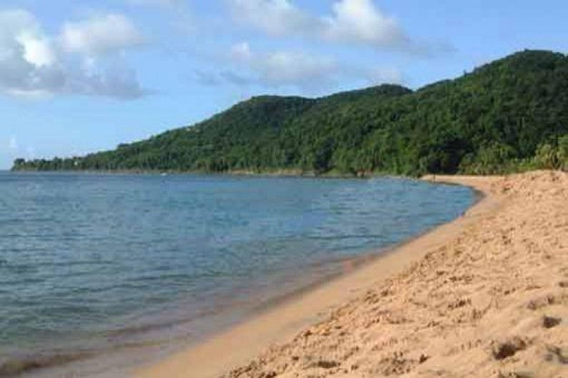 Location de vacances - Villa à Deshaies - La plage de la Grand-Anse