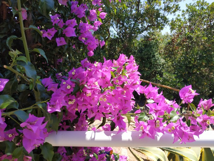 Location de vacances - Villa à Favone