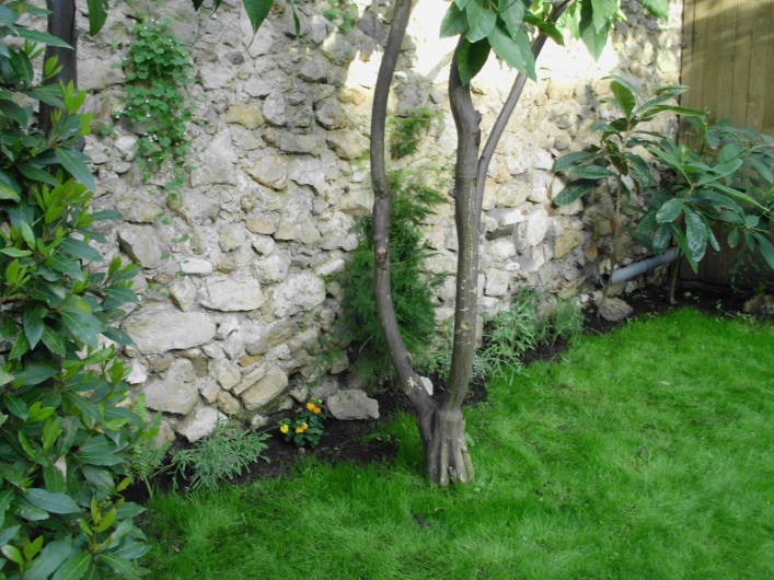 Location de vacances - Maison - Villa à Antibes