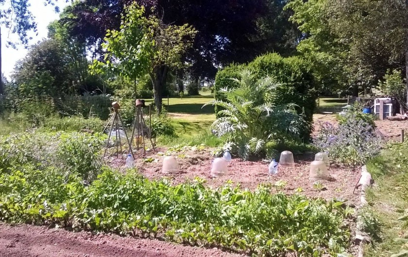 Location de vacances - Chambre d'hôtes à Bois-Guilbert - une partie de notre potager nourricier qui alimente notre table d'hôtes bio