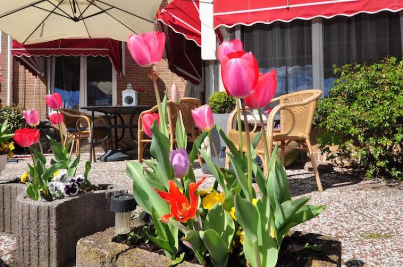 Location de vacances - Chambre d'hôtes à Zandvoort