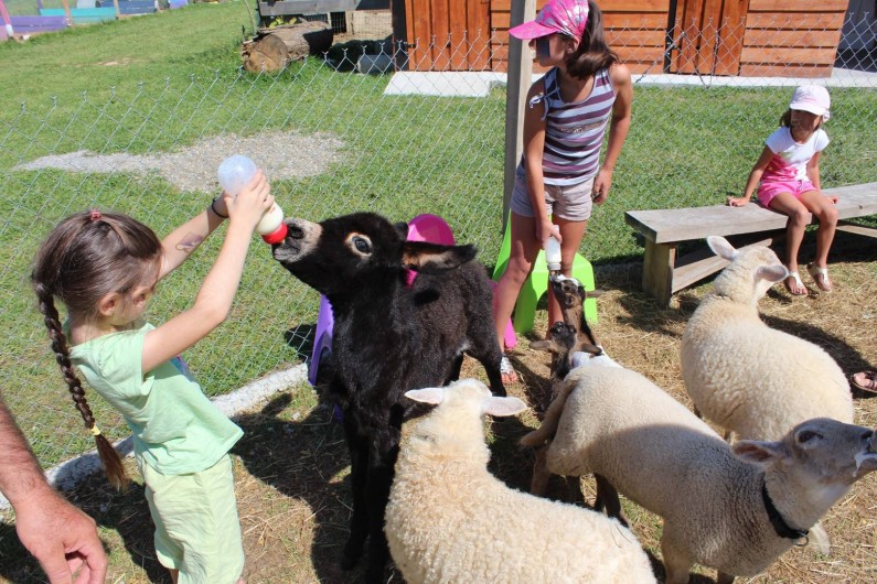 Location de vacances - Appartement à Pouillon - Parfois, ce sont les enfants qui donnent le biberon aux animaux.