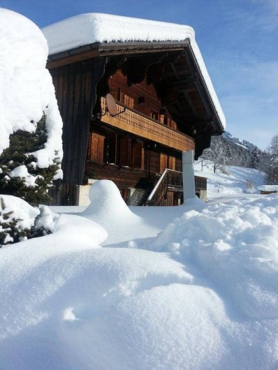 Location de vacances - Chalet à Les Diablerets - Chalet la Croisée en hiver (sud)