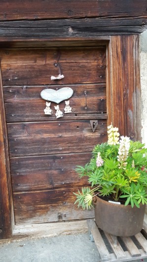 Location de vacances - Chalet à Les Diablerets - Porte de la cave