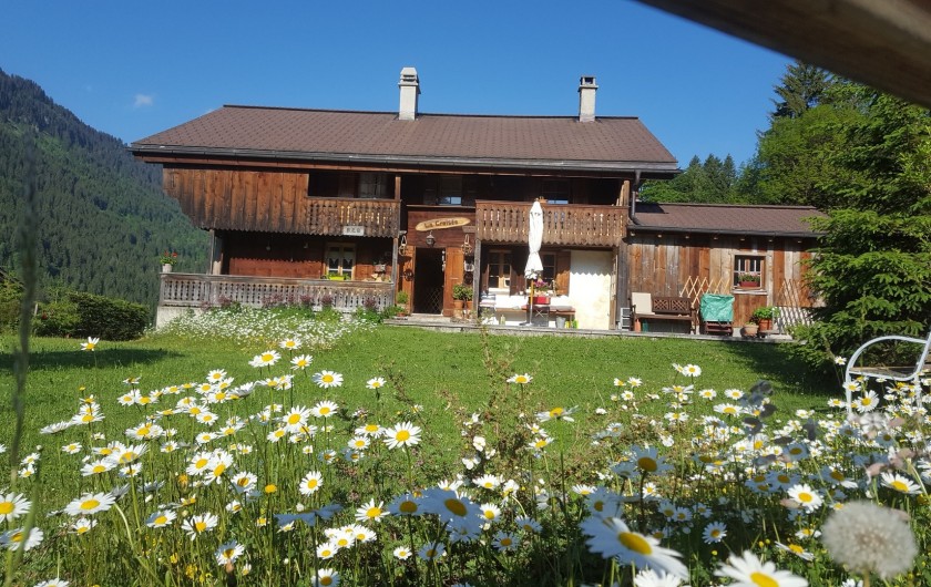 Location de vacances - Chalet à Les Diablerets - Jardin au printemps