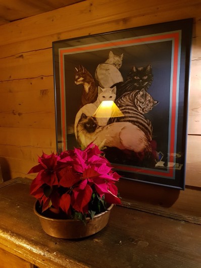 Location de vacances - Chalet à Les Diablerets - Décoration intérieure