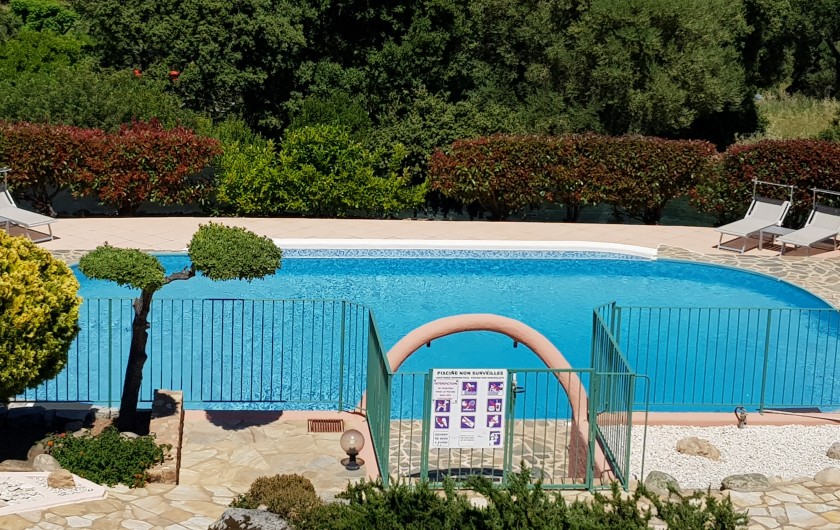Location de vacances - Villa à Porto-Vecchio - piscine