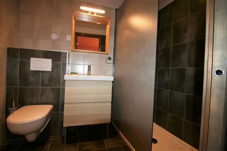 Location de vacances - Chalet à Puy-Saint-Vincent - Une des salles de bains