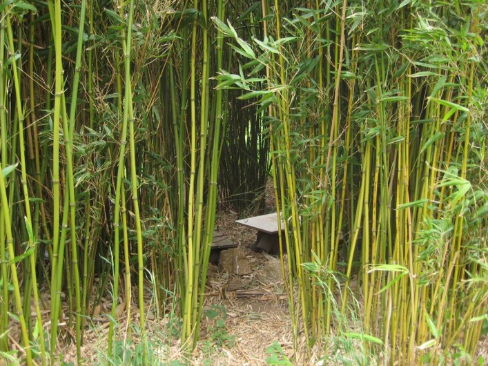 Location de vacances - Gîte à Saint-Alban-d'Ay - Cabane dans les bambous