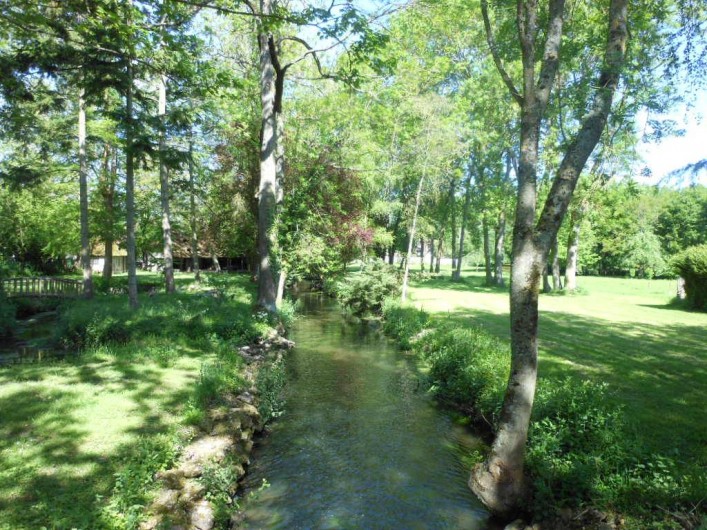 Location de vacances - Chambre d'hôtes à Bailleau-Armenonville - Rivière traversant le parc