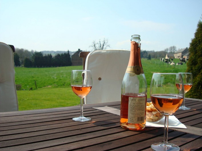 Location de vacances - Gîte à Rémersdael