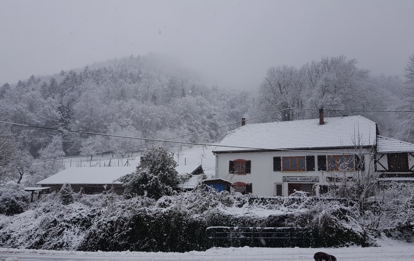 Location de vacances - Gîte à Rombach-le-Franc - La propriété en hiver