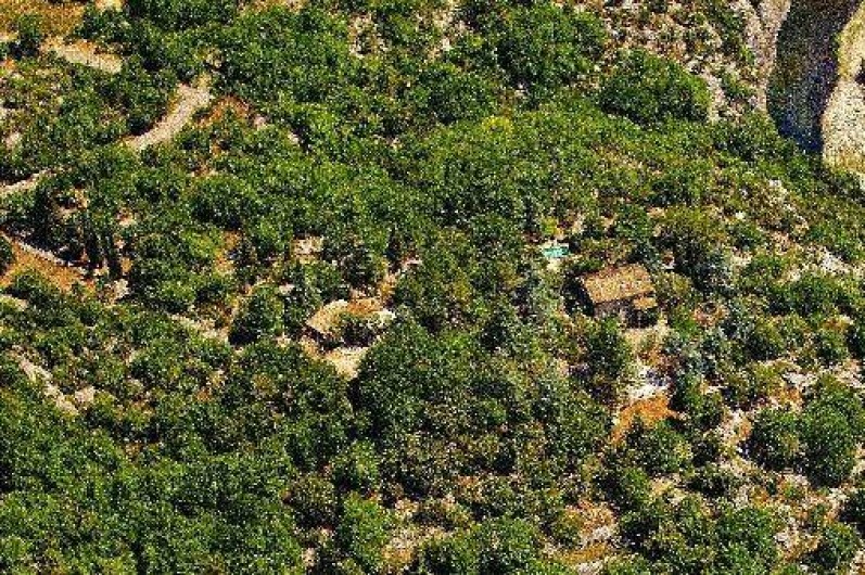 Location de vacances - Gîte à Labeaume