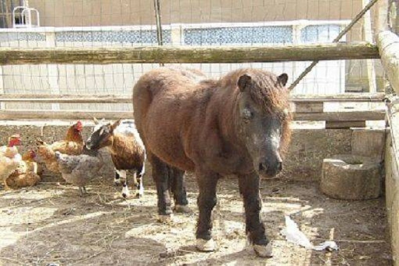 Location de vacances - Appartement à Plan-d'Orgon