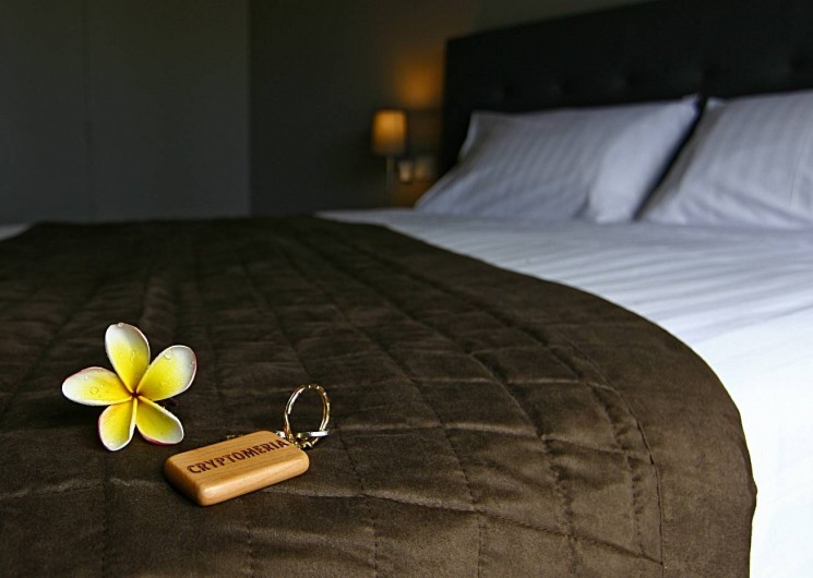 Location de vacances - Chambre d'hôtes à L'Étang-Salé