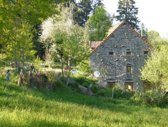 Location de vacances - Chambre d'hôtes à Saint-Avit-de-Tardes