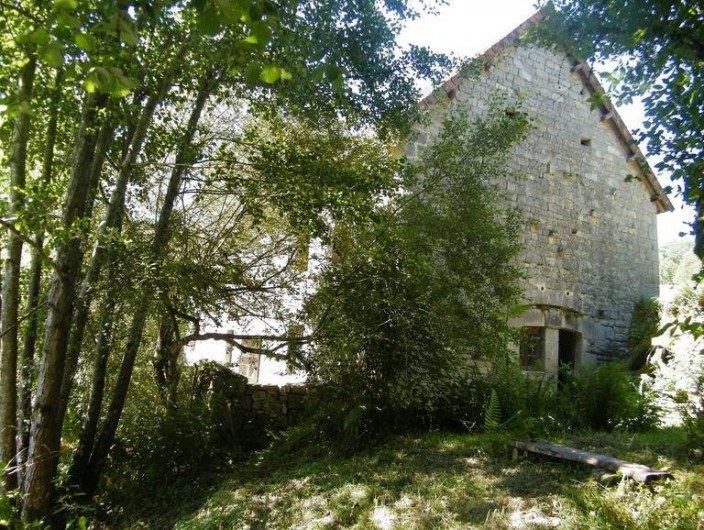 Location de vacances - Chambre d'hôtes à Saint-Avit-de-Tardes