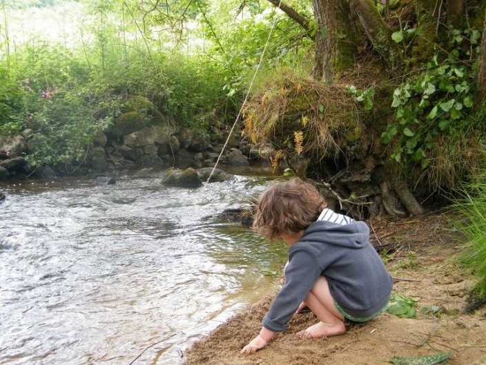 Location de vacances - Chambre d'hôtes à Saint-Avit-de-Tardes