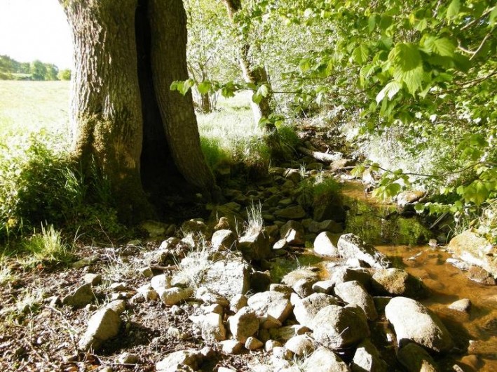 Location de vacances - Chambre d'hôtes à Saint-Avit-de-Tardes
