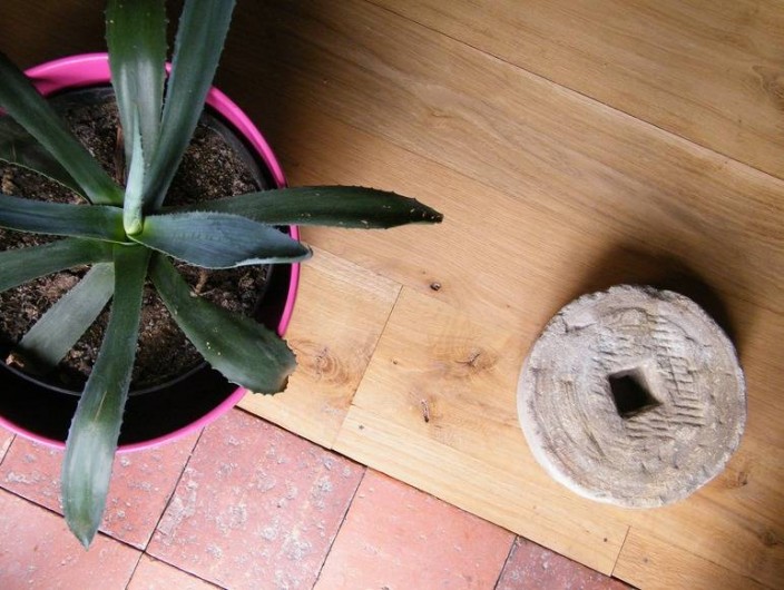 Location de vacances - Chambre d'hôtes à Saint-Avit-de-Tardes