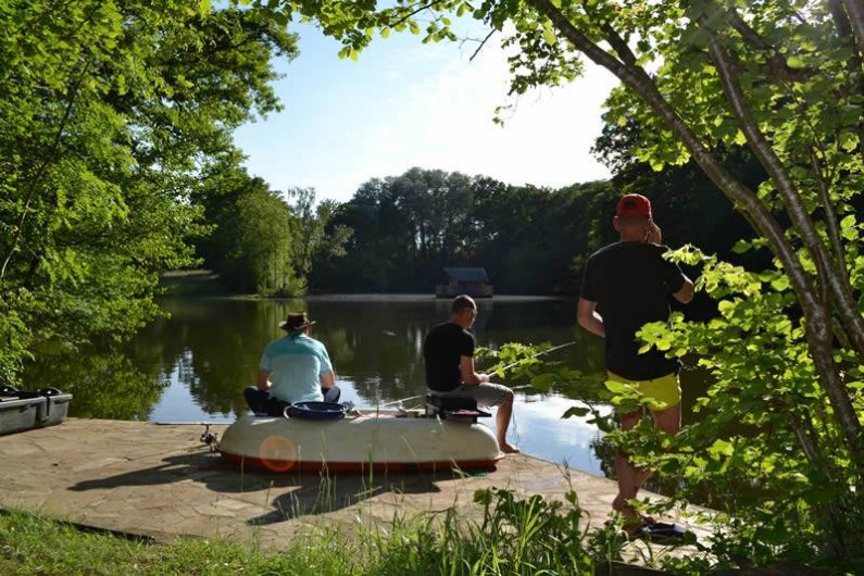 Location de vacances - Gîte à La Baconnière - Etang où la pêche no-kill est autorisée