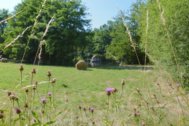 Location de vacances - Gîte à La Baconnière - Parc