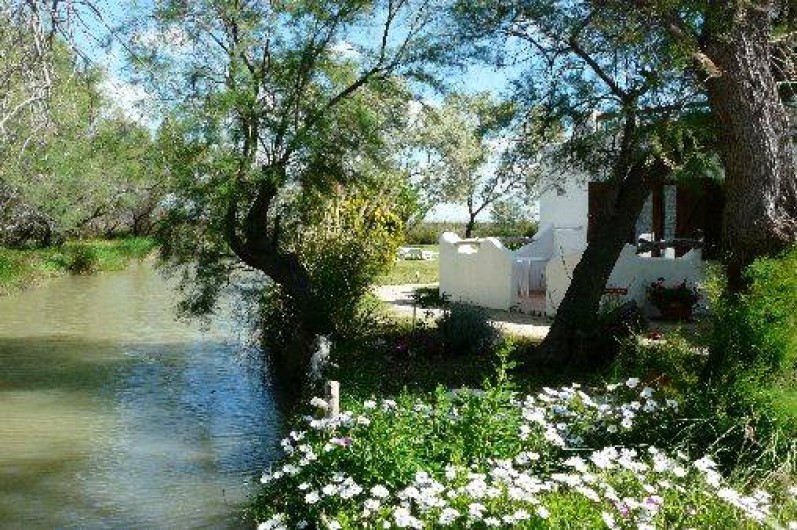 Location de vacances - Gîte à Saintes-Maries-de-la-Mer