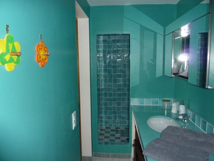 Location de vacances - Chambre d'hôtes à Bargemon - Salle de bains chambre 2