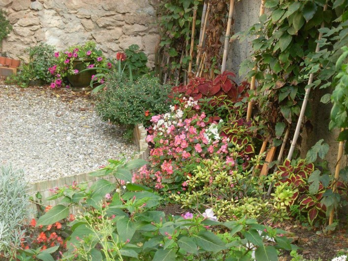 Location de vacances - Appartement à Villeneuve-Minervois - Cour intérieure fleurie.