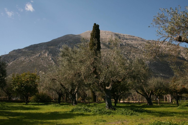 Location de vacances - Villa à Agios Polikarpos - La vue de la montagne