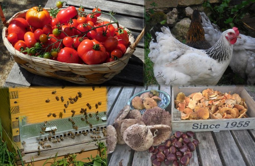 Location de vacances - Chambre d'hôtes à Laruscade - Les produits du jardin et de notre ruche