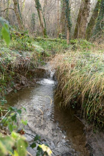 Location de vacances - Chambre d'hôtes à Laruscade - Notre ruisseau, classé Natura 2000, la Moulinasse.
