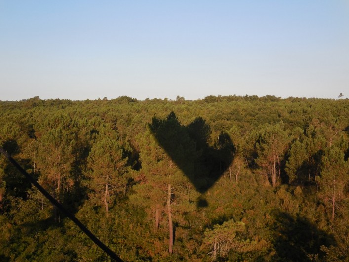Location de vacances - Chambre d'hôtes à Laruscade - Survol de la forêt