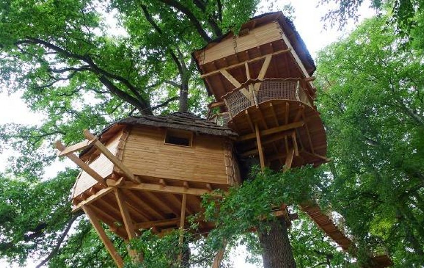 Location de vacances - Cabane dans les arbres à Saint-Hilaire-en-Morvan